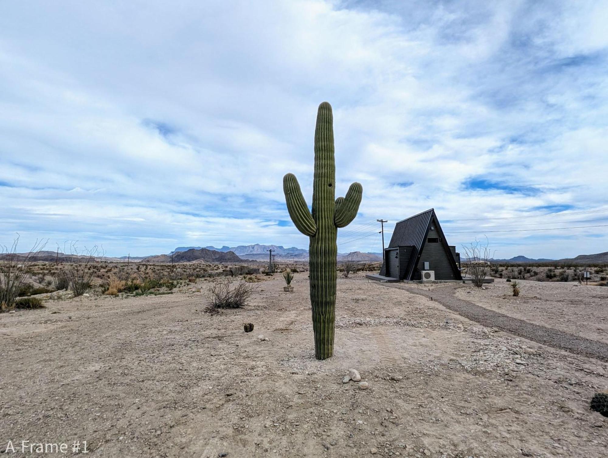 Stardust Big Bend Luxury A-Frame#5 Great Views Βίλα Terlingua Εξωτερικό φωτογραφία